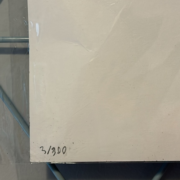 Black & White Lithograph 11x17 Mountain Lion 3/300 - Picture 7 of 11